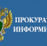 Сельским поселением проигнорированы мероприятия, предусмотренные Национальным планом по противодействию коррупции - Вытегорский район