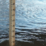 Предупреждение № 1 о повышении уровней воды на реках Вологодской области - Вытегорский район
