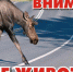 Внимание водителям!!! - Вытегорский район