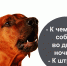 Дела соседские - Газета Красное Знамя