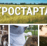 Около 34 млн рублей будет направлено победителям отбора на грант «Агростартап» - Газета Красное Знамя