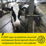 Вологодским сельхозтоваропроизводителям оказывают господдержку на развитие сельской кооперации