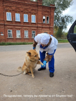 На Вологодчине идет профилактика бешенства