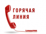 «Горячая линия» по вопросам качества и безопасности детских товаров, выбору новогодних подарков.