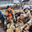 Откуда дровишки? - Газета Красное Знамя